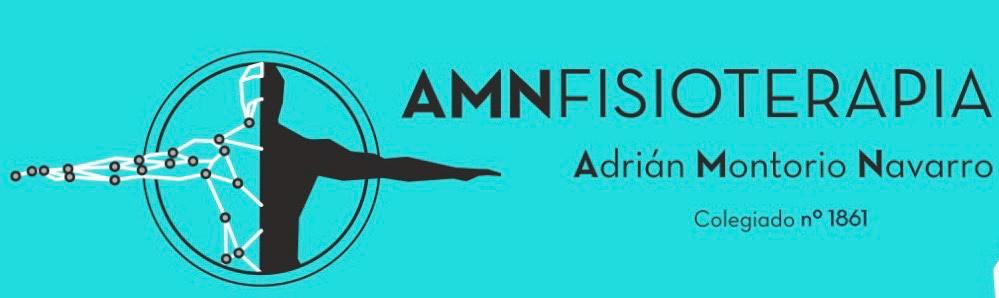 AMN Fisioterapia